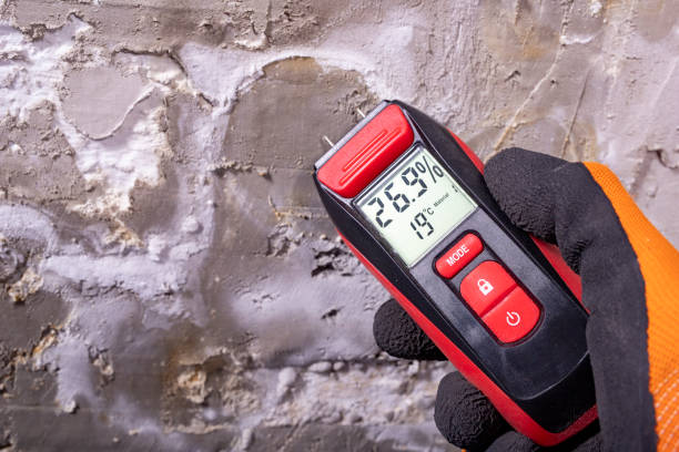 Best Attic Mold Removal  in Sweetwater, TN